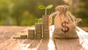 Growing Money, business finance and saving money investment , Money coin stack growing graph, plant growing up on coins. Balance savings and investment.