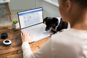 Online Savings Account In Office. Checking Bank Account